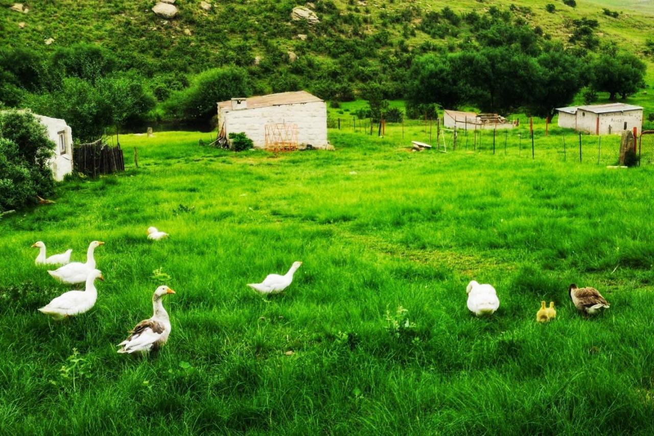 Oban Historical Guest Farm Villa Van Reenen ภายนอก รูปภาพ